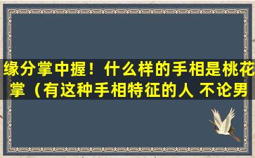 缘分掌中握！什么样的手相是桃花掌（有这种手相特征的人 不论男女均桃花不断）